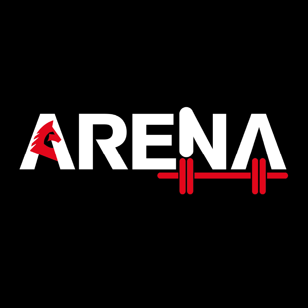 Arena S.R.L